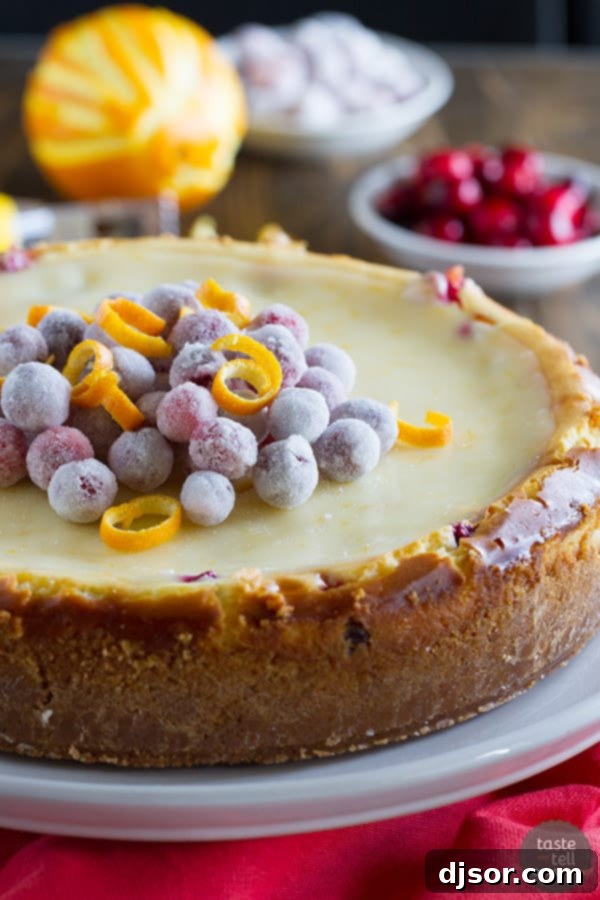 A magnificent full Cranberry Orange Cheesecake, artfully arranged and generously topped with a layer of glistening, sweet sugared cranberries, ready to be served.