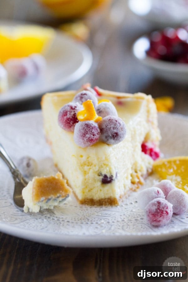 A close-up shot of a single slice of Cranberry Orange Cheesecake, with a fork gently scooping out a bite, highlighting its rich, creamy filling and chunks of fresh cranberry.