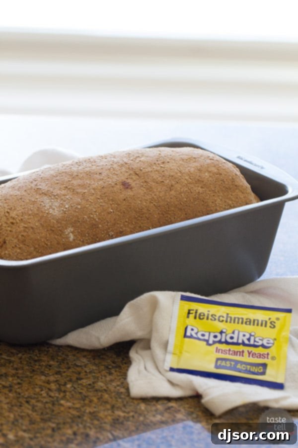 A freshly baked loaf of Whole Wheat Cinnamon Swirl Bread cooling in a bread pan.