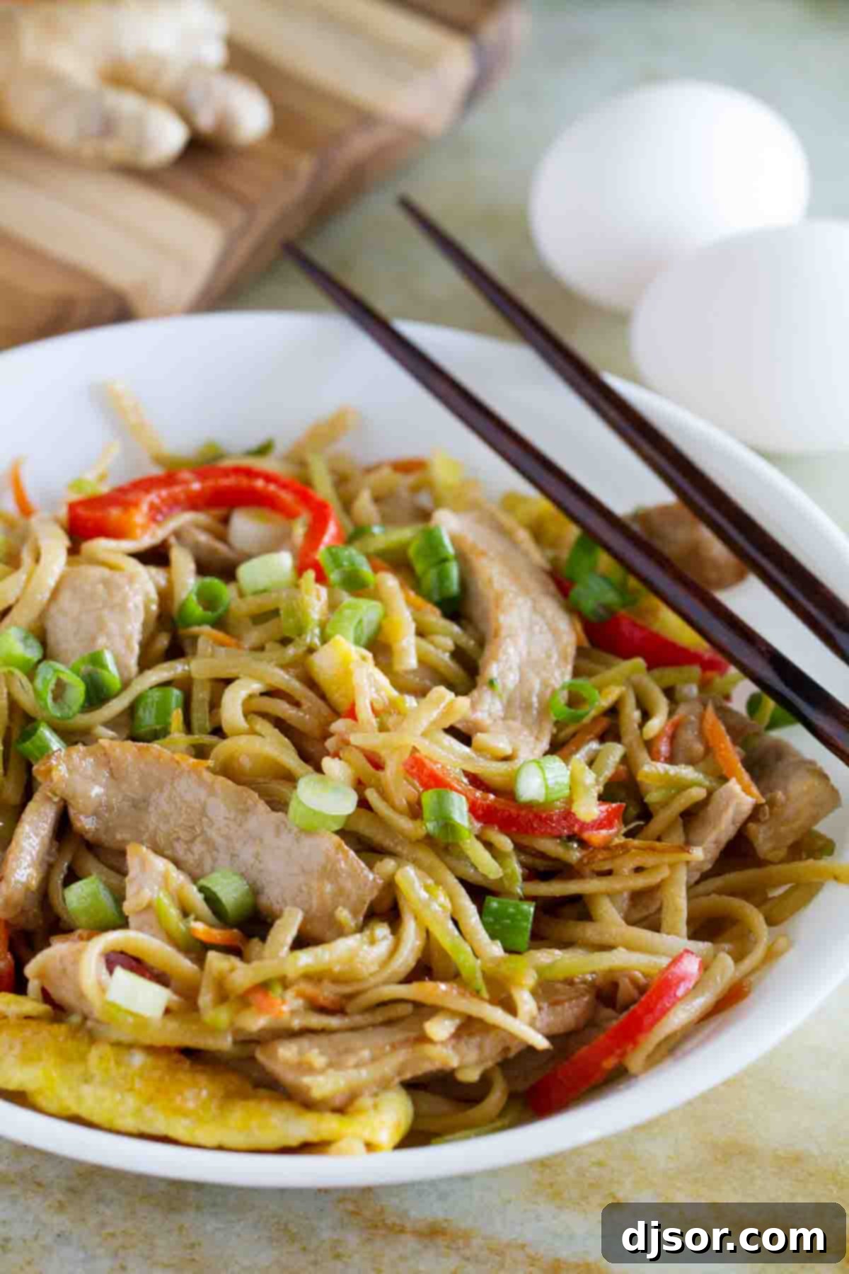 Shallow bowl filled with vibrant Egg and Pork Lo Mein, garnished with green onions and served with chopsticks.