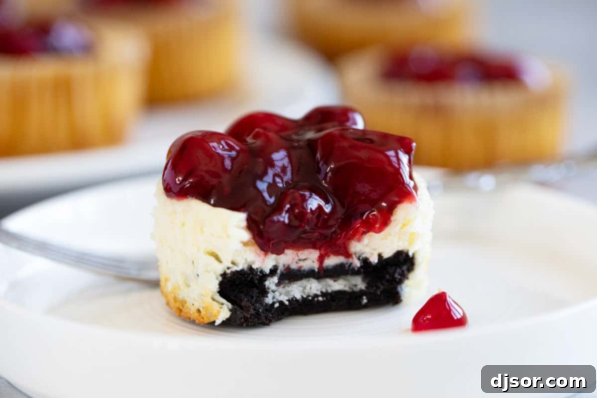 Delightful mini cheesecakes featuring a crunchy cookie crust and a smooth, creamy filling, elegantly topped with vibrant cherry pie filling.