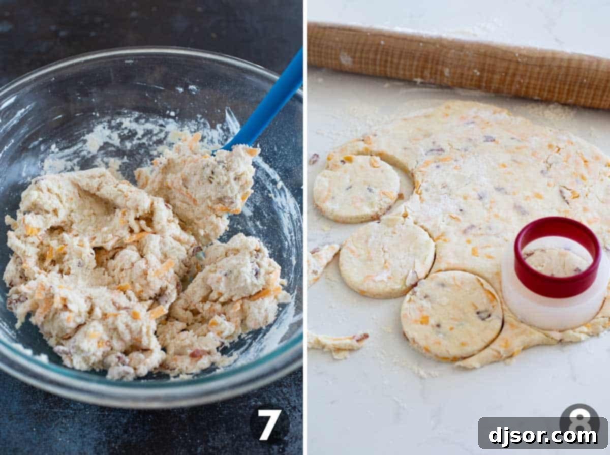 Biscuit dough being rolled out on a floured surface, and then round biscuits being cut from the dough.