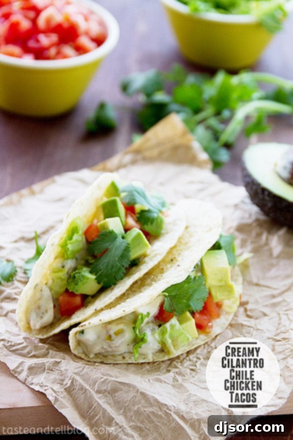 Upgrade Your Taco Night: 22 Irresistible Taco Recipes 18 Creamy Cilantro Chile Chicken Tacos - green chiles and cilantro are combined in a delicious sauce to make a taco the whole family will love.
