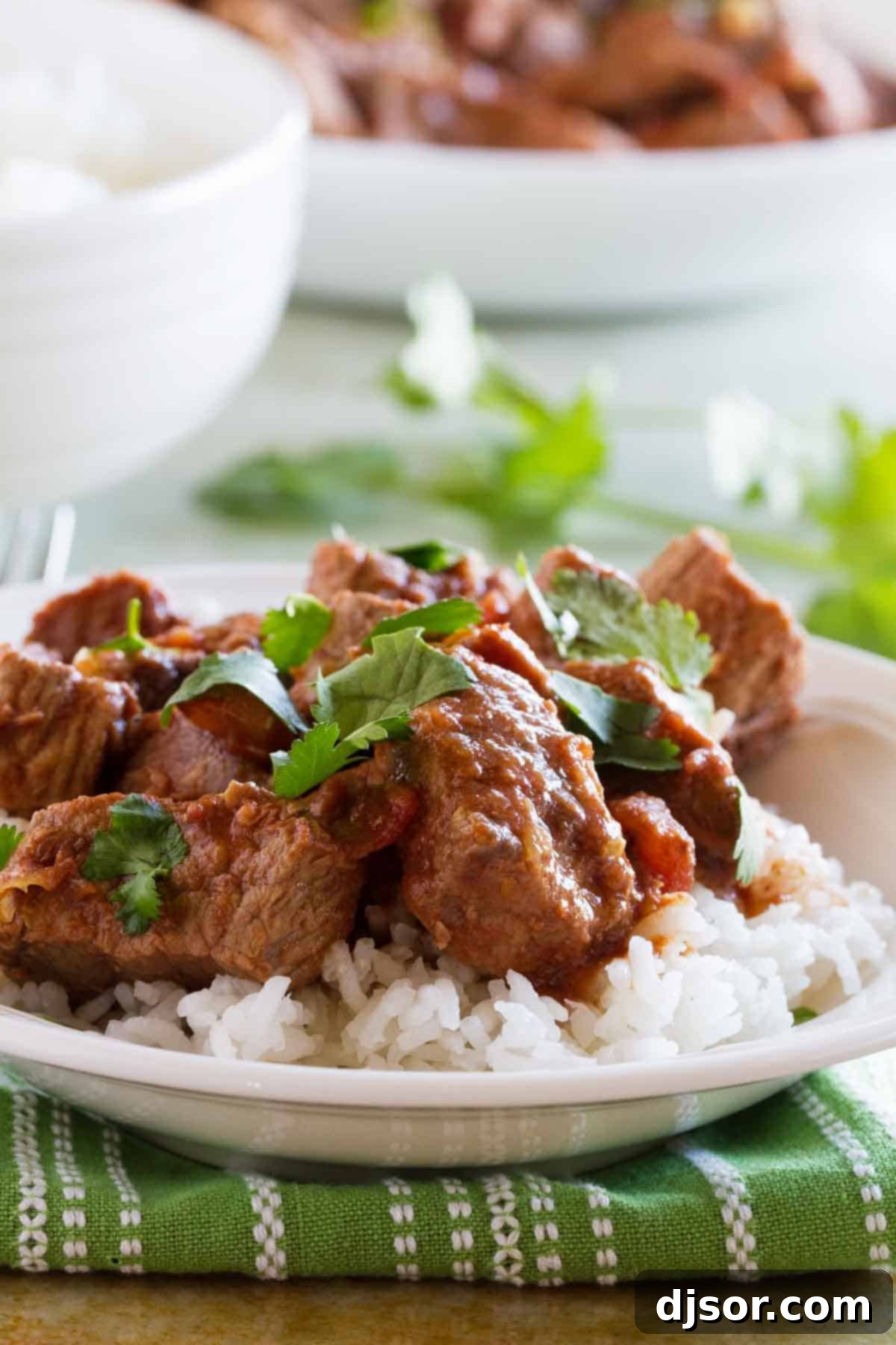 Tender slow cooker beef with vibrant salsa, served over fluffy white rice and garnished with fresh cilantro in a rustic bowl, ready to be enjoyed.