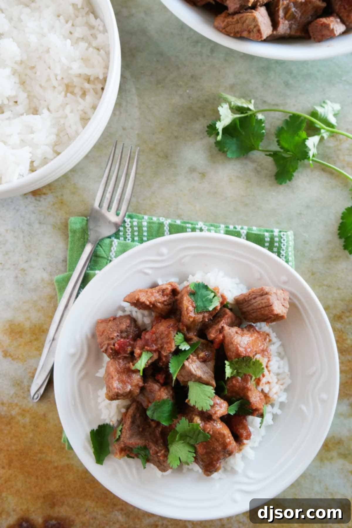 A close-up shot of a plate piled high with fluffy white rice, topped with shredded slow cooker beef and rich salsa, garnished with vibrant fresh cilantro.