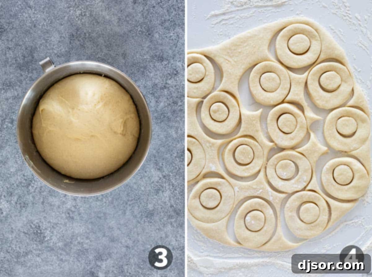 Classic Glazed Delights 5 Two images side by side: one showing perfectly risen donut dough in a bowl, the other showing donut shapes being cut from rolled dough on a floured surface.