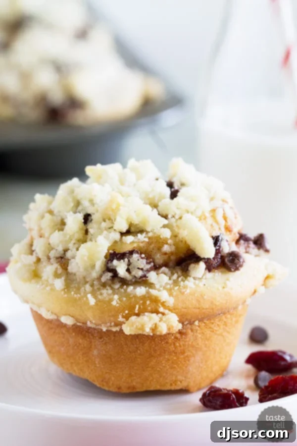 Delicious Chocolate Cherry Streusel Rolls topped with crunchy streusel, perfect for breakfast or dessert.