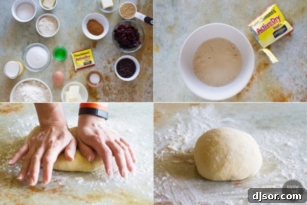 Step-by-step guide: Dough rising for Chocolate Cherry Streusel Rolls.