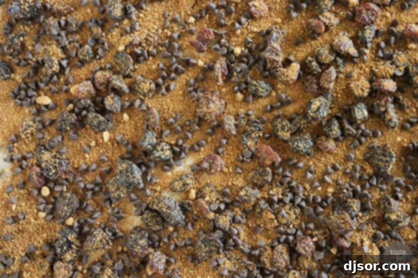 Spreading butter and cinnamon sugar filling on homemade sweet roll dough.