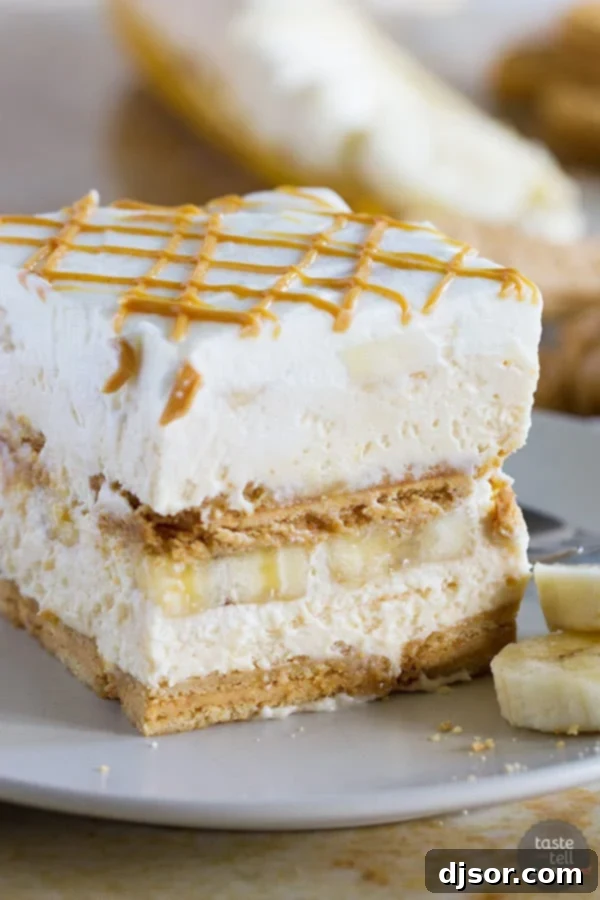 Summer never looked so good! A stunning image of Peanut Butter Banana Icebox Cake, highlighting its creamy layers and refreshing appeal, perfect for hot weather. The cake is garnished with extra peanut butter drizzle and banana slices.