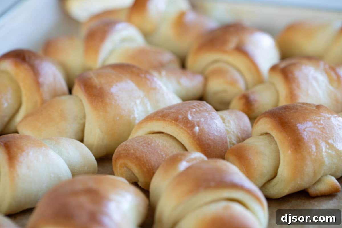 Deliciously Golden Butterhorn Rolls Golden brown butterhorn rolls, freshly baked and brushed with melted butter, ready to be served.