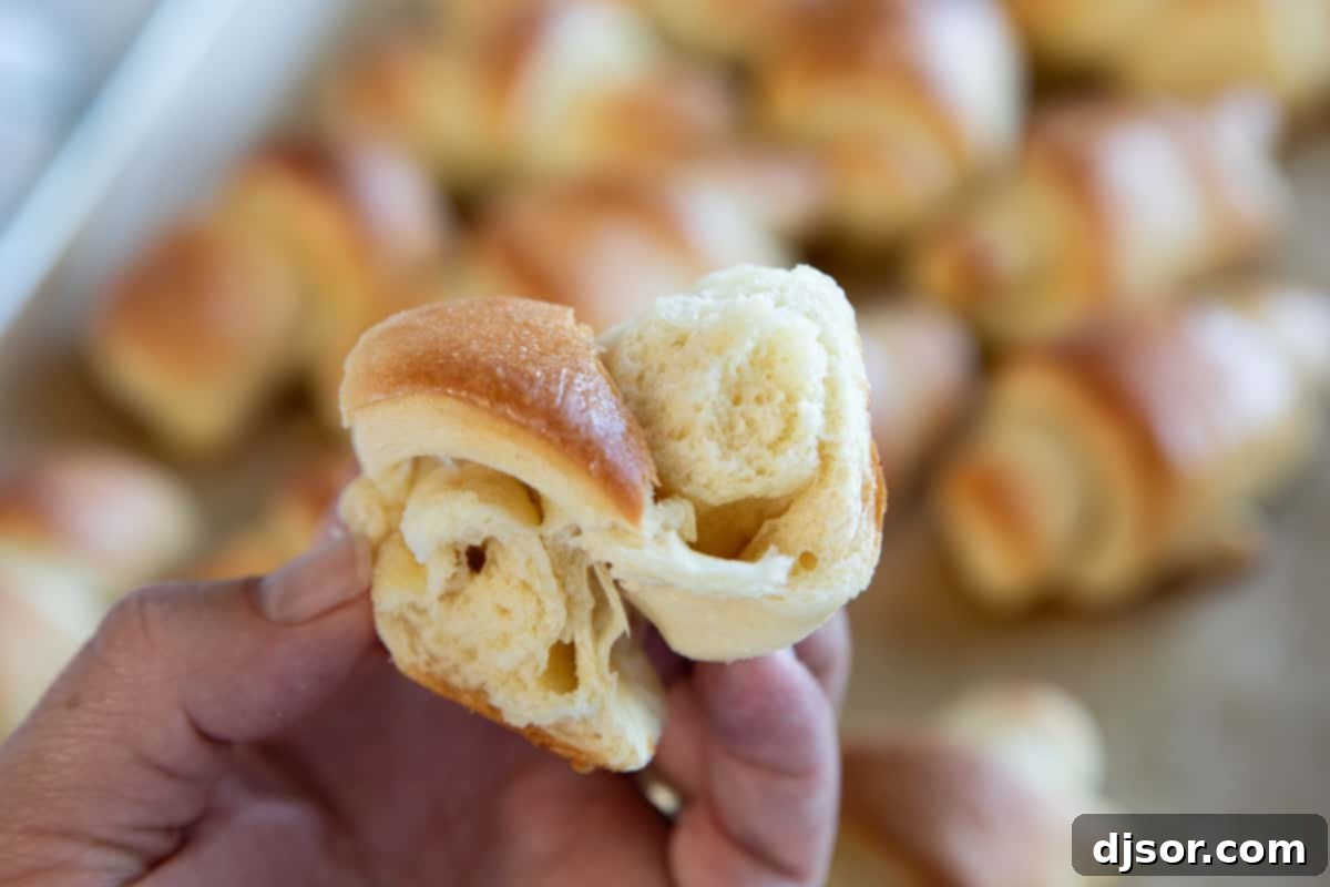 The Fluffy Interior of a Butterhorn Roll A close-up of a butterhorn roll torn in half, revealing its soft, airy, and layered interior texture.
