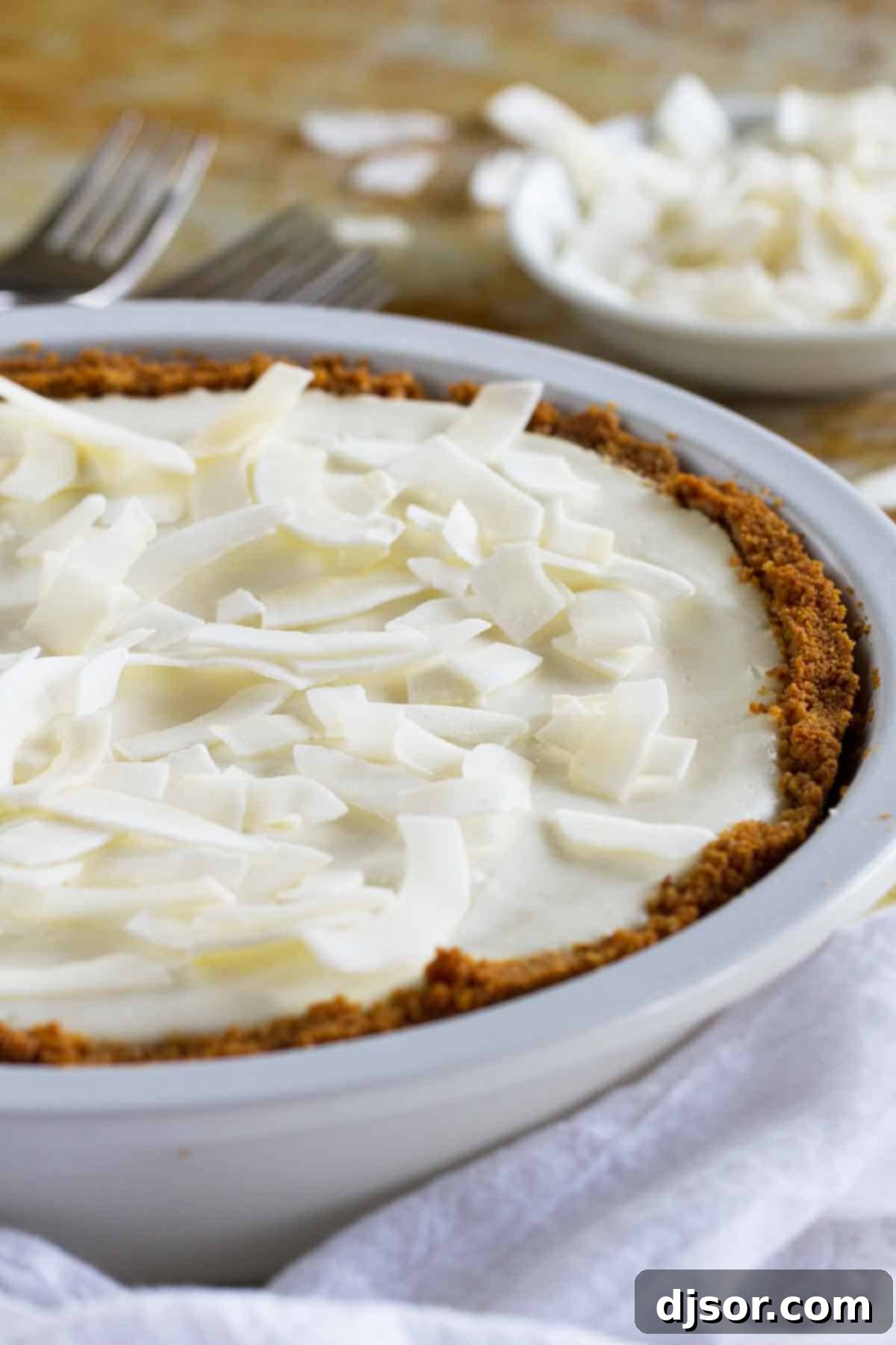 Coconut Cheesecake Pie topped with large pieces of shredded coconut. Close-up of the full Coconut Cheesecake Pie, showcasing the generous layer of large, fluffy shredded coconut on top, with the smooth, pale filling visible beneath.