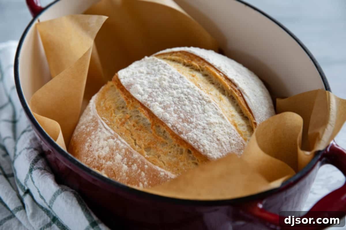 No Knead Crusty Artisan Bread 2 Loaf of artisan bread in a Dutch oven.