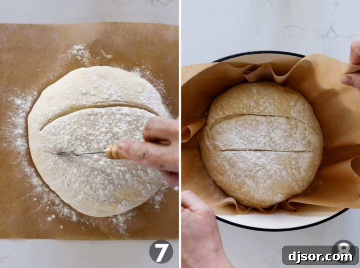 No Knead Crusty Artisan Bread 7 Scoring loaf of bread and placing it in a Dutch oven.