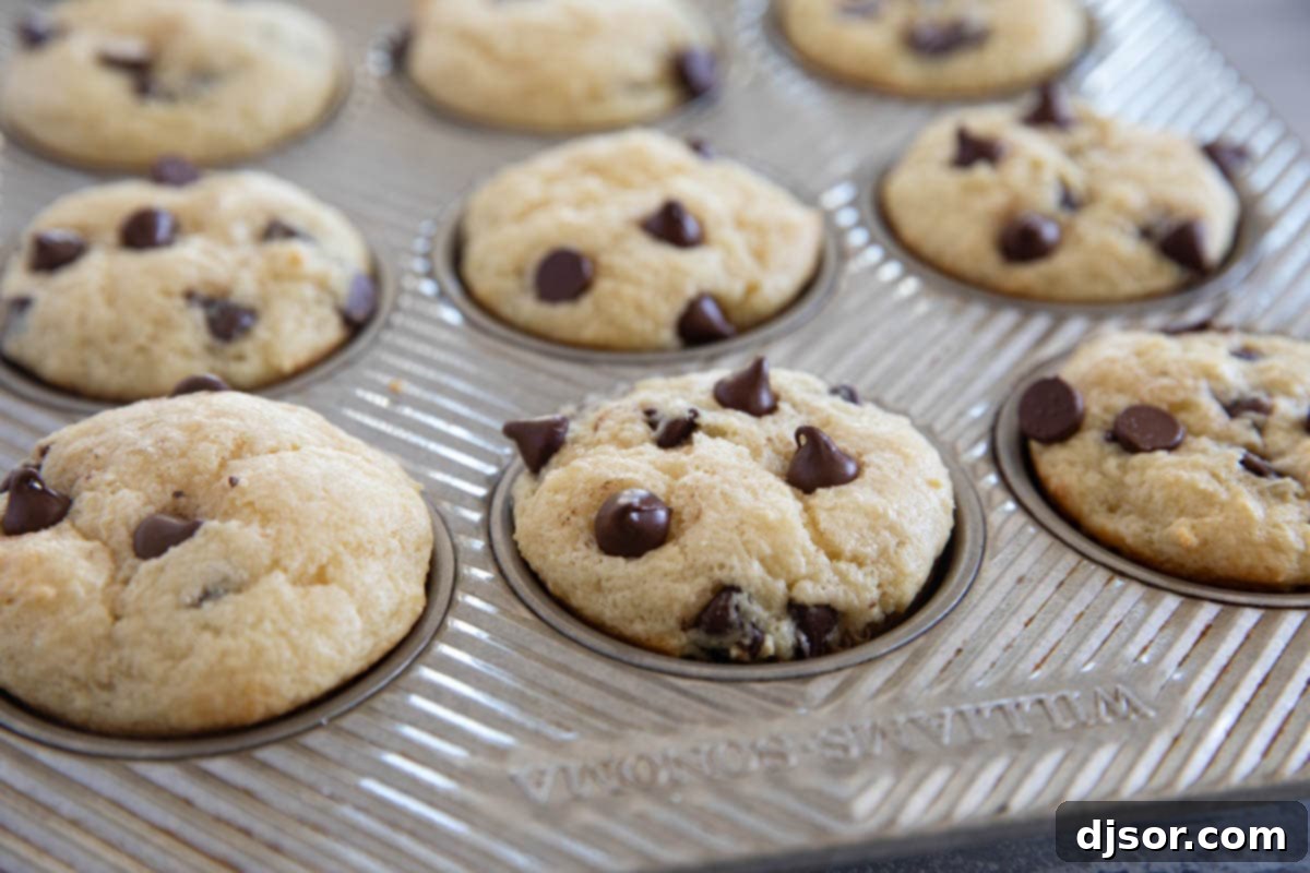 Sour Cream Muffins with Chocolate Chips in a baking tin.