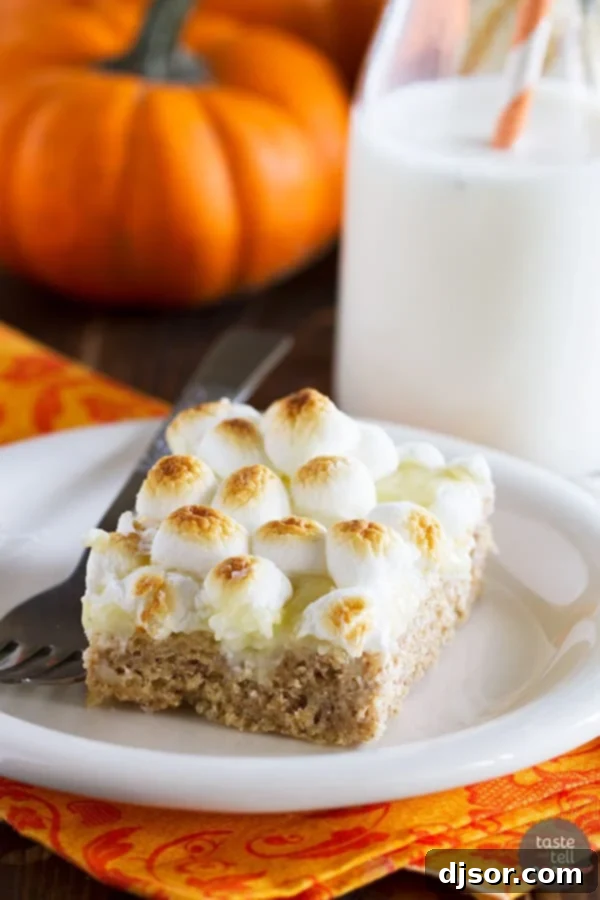 Autumn Spiced S'mores 2 A twist on a summer staple - these Pumpkin Spice S’mores Treats are filled with warm autumn spices and lots of sweet deliciousness.