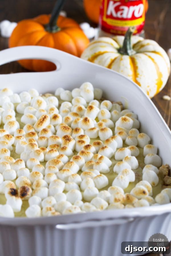 Autumn Spiced S'mores 5 A twist on a summer staple - these Pumpkin Spice S’mores Treats are filled with warm autumn spices and lots of sweet deliciousness.