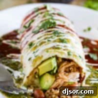 Zesty Chicken Burritos with Red and Green Sauce 2 Bean, Rice and Chicken Burritos