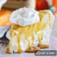 Creamy Autumn Delight Pumpkin Butter Pecan Ice Cream Pie 5 Slice of pumpkin and butter pecan ice cream pie on a plate with whipped cream.