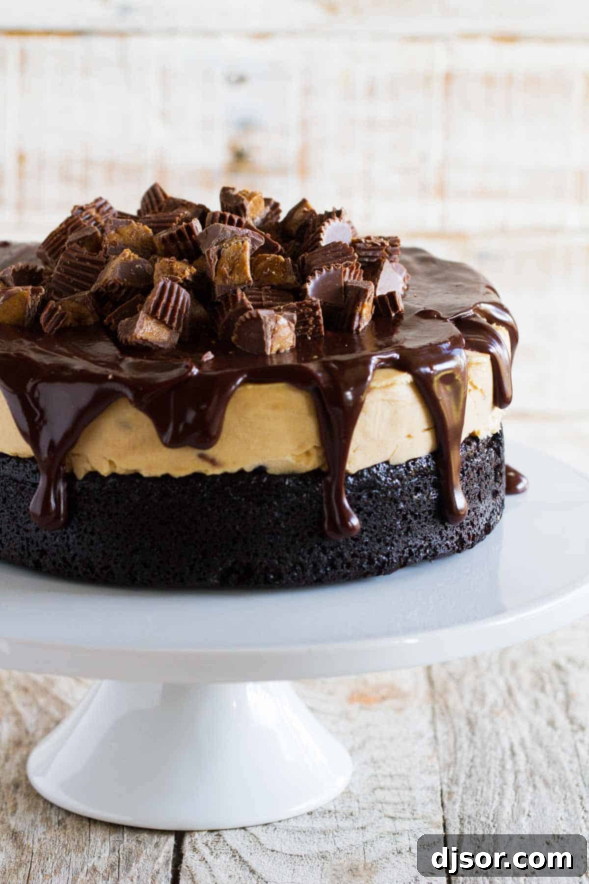 Ultimate Peanut Butter Cup Ice Cream Cake 3 Full peanut butter cup ice cream cake topped with chocolate ganache.