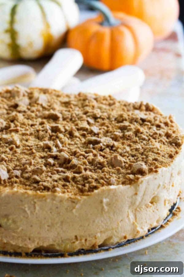 Autumn Pumpkin Delight: A Tiramisu Twist 3 So easy and family friendly, this Pumpkin Tiramisu is a fun way to change up your holiday baking. With pumpkin, apple and gingersnap flavors, you can’t go wrong!
