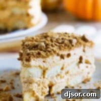 Autumn Pumpkin Delight: A Tiramisu Twist 6 So easy and family friendly, this Pumpkin Tiramisu is a fun way to change up your holiday baking. With pumpkin, apple and gingersnap flavors, you can’t go wrong!