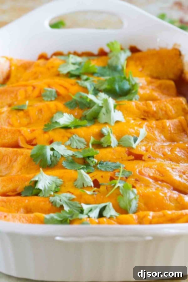 Thanksgiving Encore Enchiladas 2 Delicious Thanksgiving Leftover Enchiladas made with turkey and stuffing, topped with cheese and red enchilada sauce.