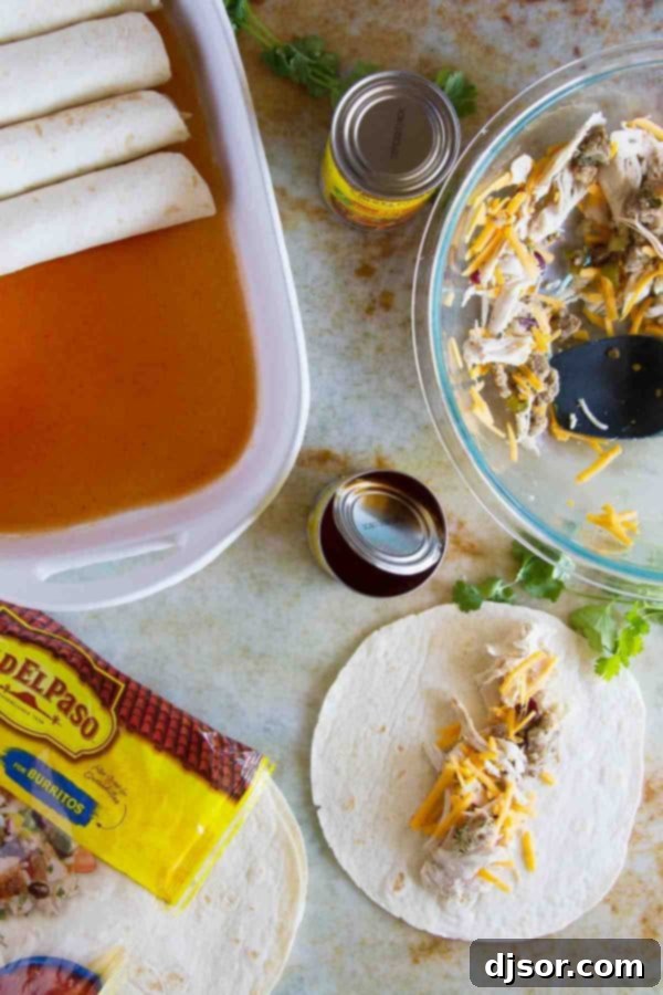 Thanksgiving Encore Enchiladas 4 A plate of Thanksgiving Leftover Enchiladas, garnished with fresh cilantro, ready to be served.