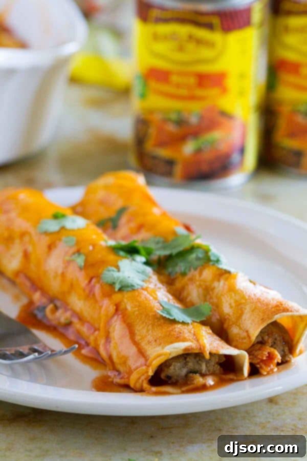 Thanksgiving Encore Enchiladas 6 Overhead shot of a full baking dish of Thanksgiving Leftover Enchiladas, topped with vibrant cilantro.
