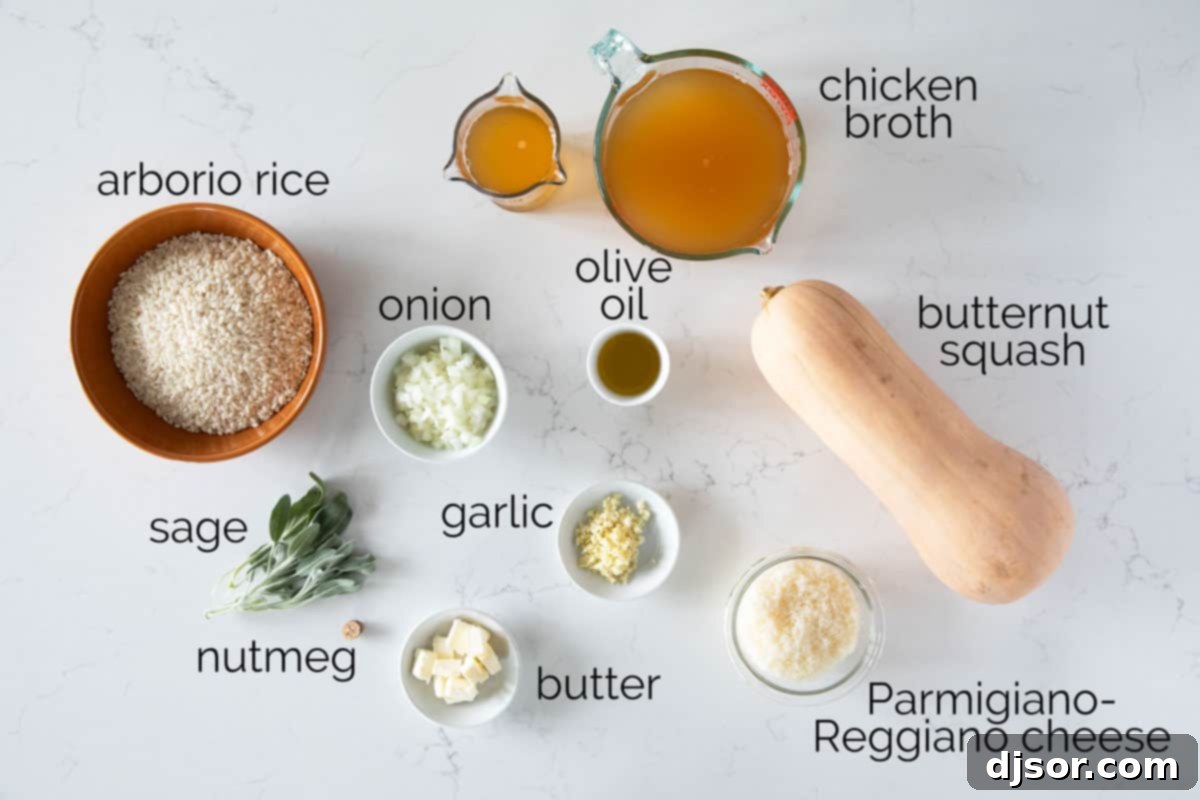 Golden Butternut Risotto 3 A selection of fresh ingredients laid out, including butternut squash, Arborio rice, broth, onion, garlic, and fresh sage, ready for making butternut squash risotto.