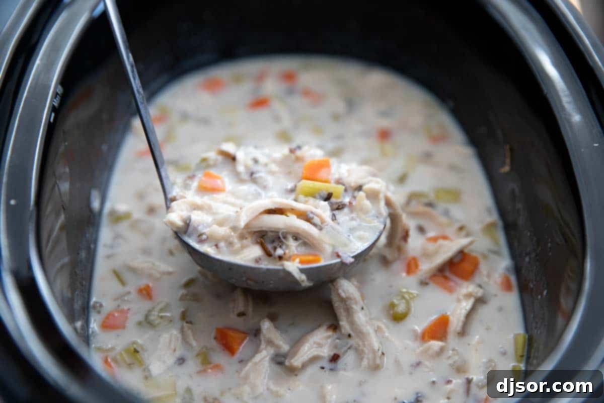 creamy chicken and wild rice soup served directly from a crock pot