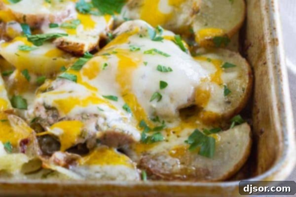 Ranch lovers will go crazy over this Cheesy Ranch Chicken with Potatoes. Hands on time is minimal, and the chicken packs a flavor punch!