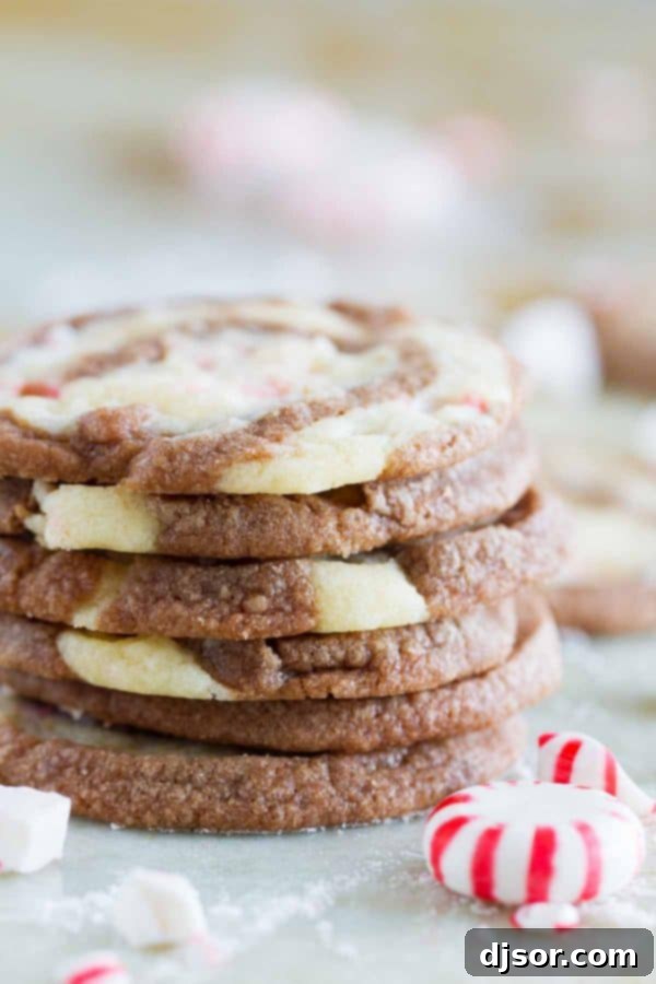 Candy Cane Chocolate Swirl Cookies 2 With spirals of chocolate and peppermint dough, these “Kiss Me” Chocolate Peppermint Pinwheel Cookies are fun and minty and the perfect ending to a date night at home.