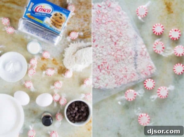 Candy Cane Chocolate Swirl Cookies 3 With spirals of chocolate and peppermint dough, these “Kiss Me” Chocolate Peppermint Pinwheel Cookies are fun and minty and the perfect ending to a date night at home.