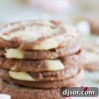 Candy Cane Chocolate Swirl Cookies 8 With spirals of chocolate and peppermint dough, these “Kiss Me” Chocolate Peppermint Pinwheel Cookies are fun and minty and the perfect ending to a date night at home.