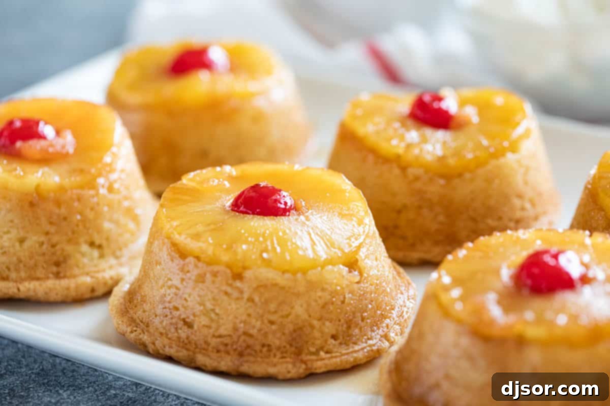 Pineapple Upside Down Cupcakes: A tender yellow cupcake baked with a pineapple ring and an easy caramel sauce, then inverted for a perfect single-sized cake. Beautifully arranged Pineapple Upside Down Cupcakes on a pristine white serving plate, showcasing their golden caramelized pineapple tops and bright red cherry centers.