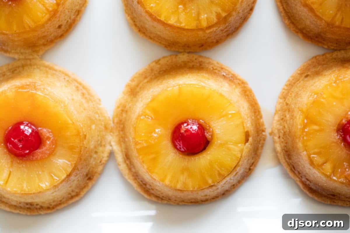 Top view of Pineapple Upside Down Cupcakes, showcasing the caramelized pineapple and cherry topping. An overhead view of freshly baked Pineapple Upside Down Cupcakes, beautifully inverted to show the golden pineapple and cherry toppings.
