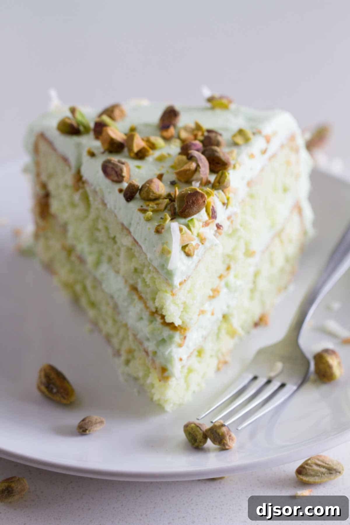 Layered Coconut and Pistachio Pudding Cake