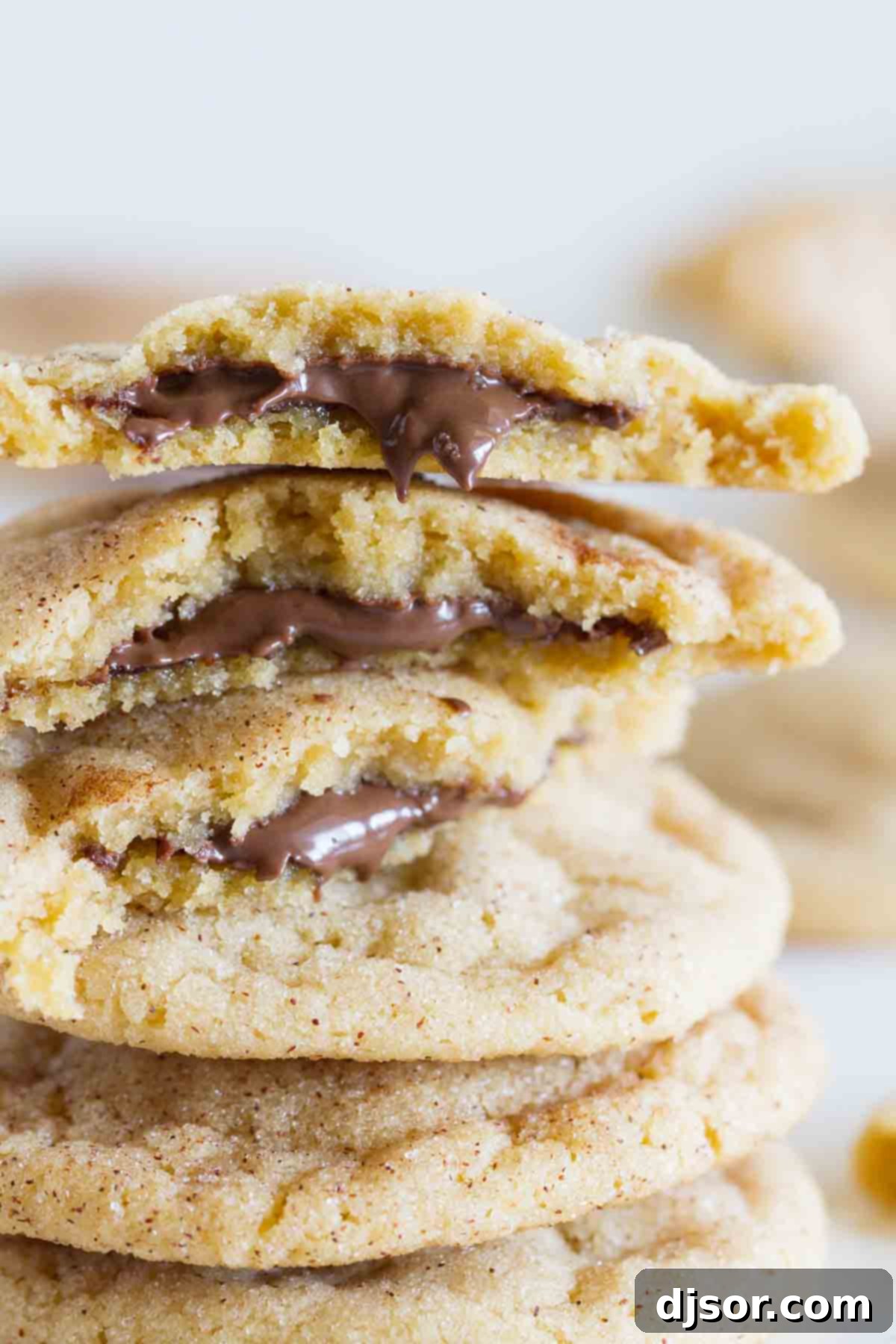 Peanut Butter Cinnamon Cloud Cookies 2 Peanut Butter Cinnamon Meltaway Cookies stacked invitingly, showcasing their cinnamon sugar coating.