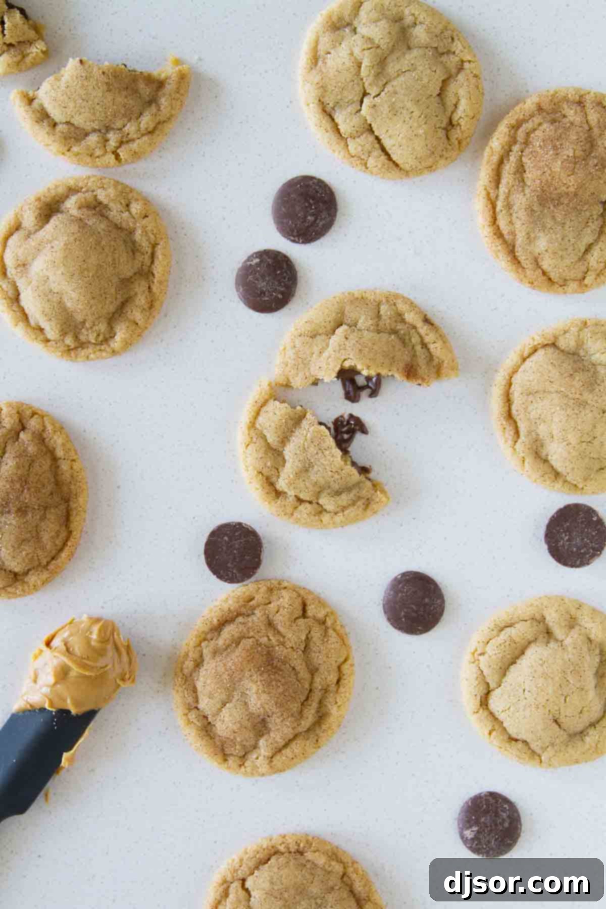 Peanut Butter Cinnamon Cloud Cookies 4 Delicious Peanut Butter Cinnamon Meltaway Cookies adorned with chocolate pieces, highlighting their rich flavors.