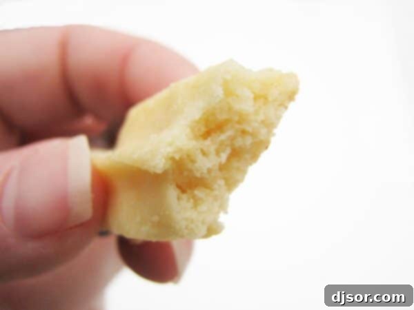 Chocolate Enrobed Cookie Bliss 3 Close-up of the delicate, crispy texture of a chocolate dipped butter cookie