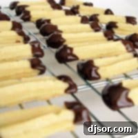 Chocolate Enrobed Cookie Bliss 4 Chocolate Dipped Cookies