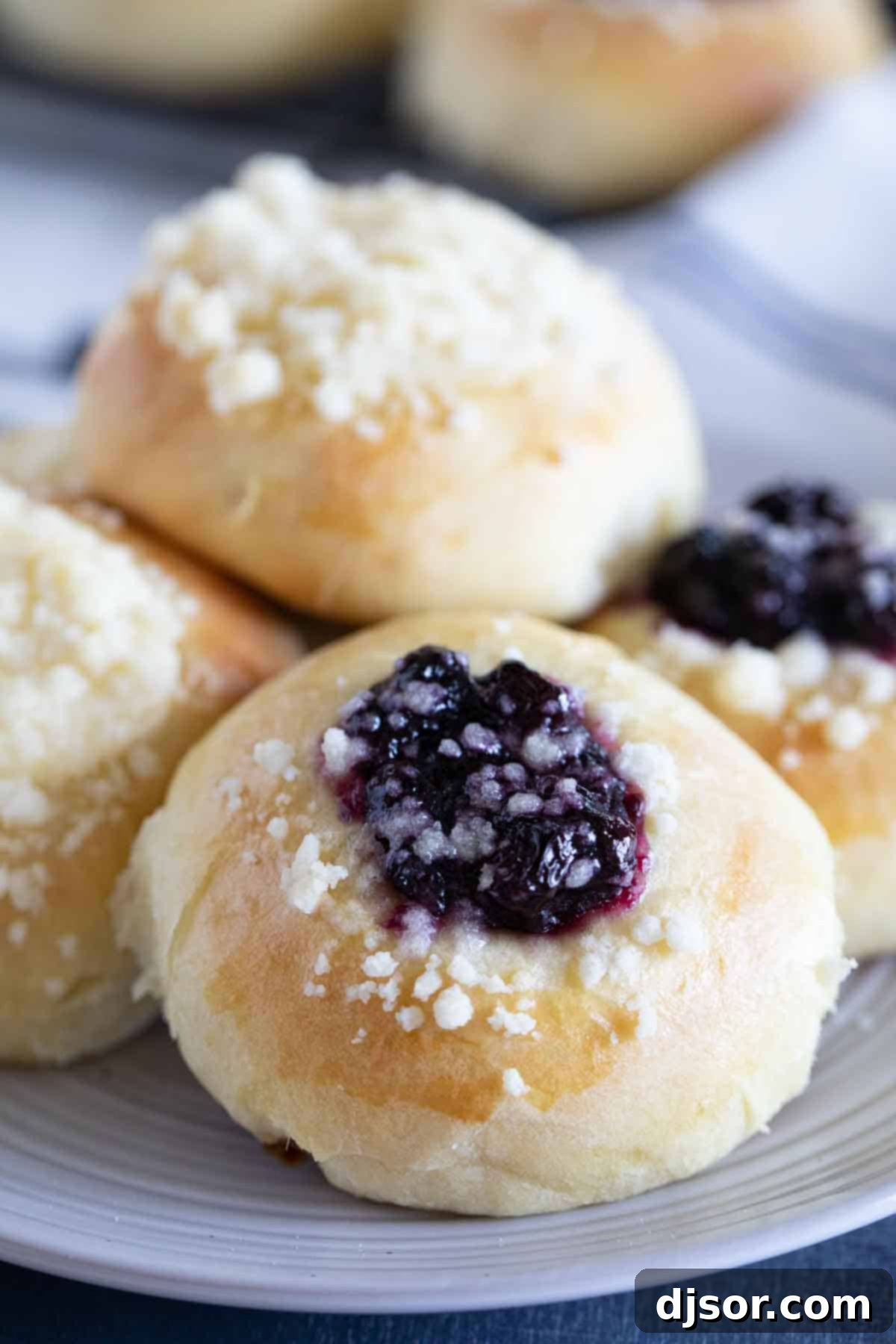 Perfectly Baked Blueberry Kolache A freshly baked Kolache filled with blueberry filling and topped with streusel.