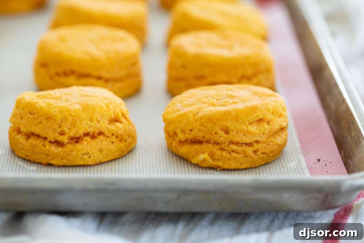 Extra tender with a soft texture and slightly sweet flavor, these Sweet Potato Biscuits are the perfect southern side dish. These are perfect for breakfast, dinner, or for your holiday table. sweet potato biscuits on a baking sheet