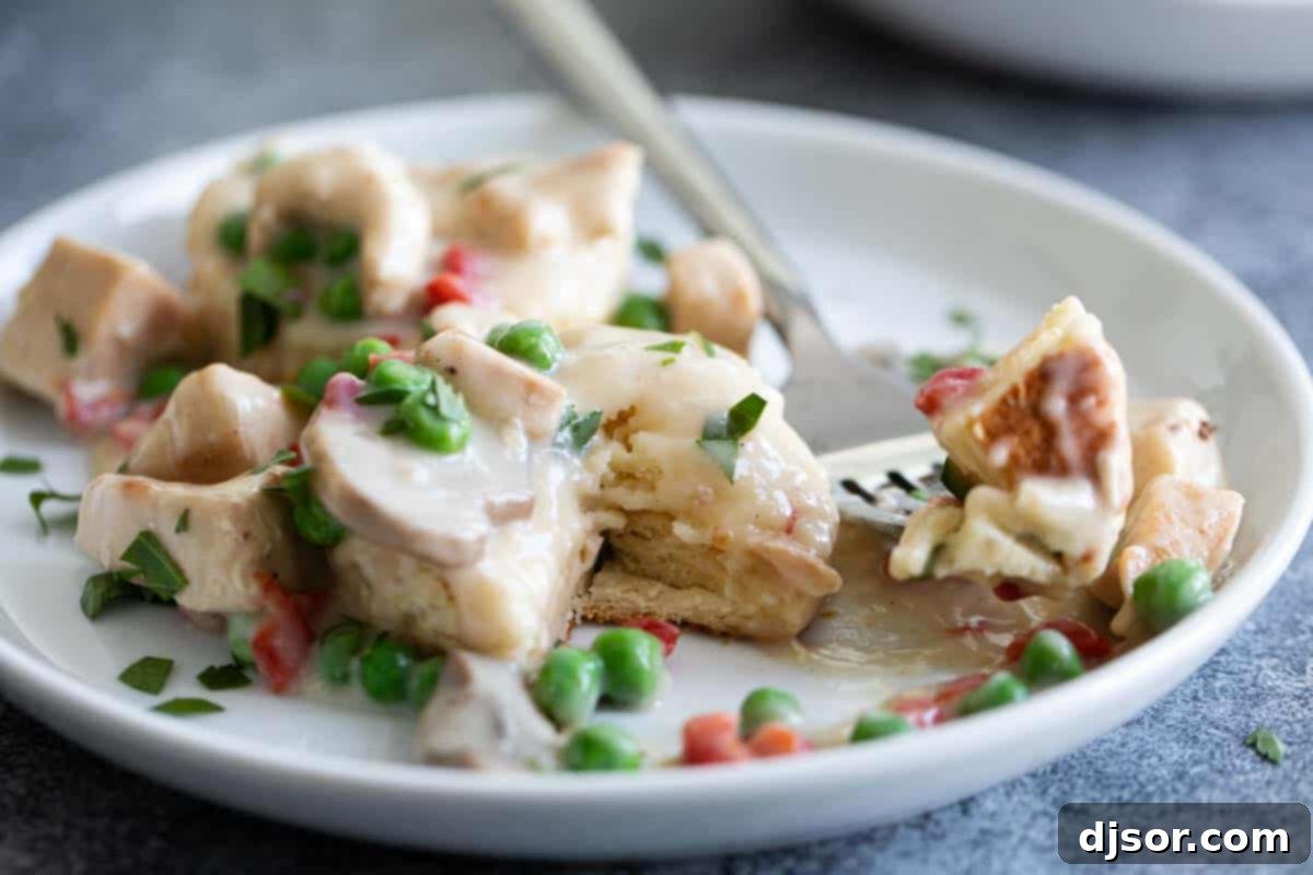 Satisfying Bite of Chicken a la King A spoonful of Chicken a la King taken from a biscuit on a white plate, showing the creamy texture and ingredients.