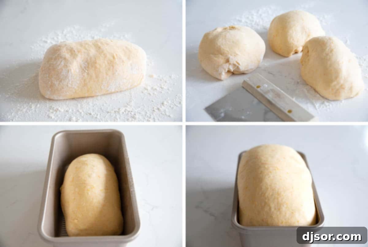 Taking fluffy risen bread dough and forming it into perfect loaves for baking.
