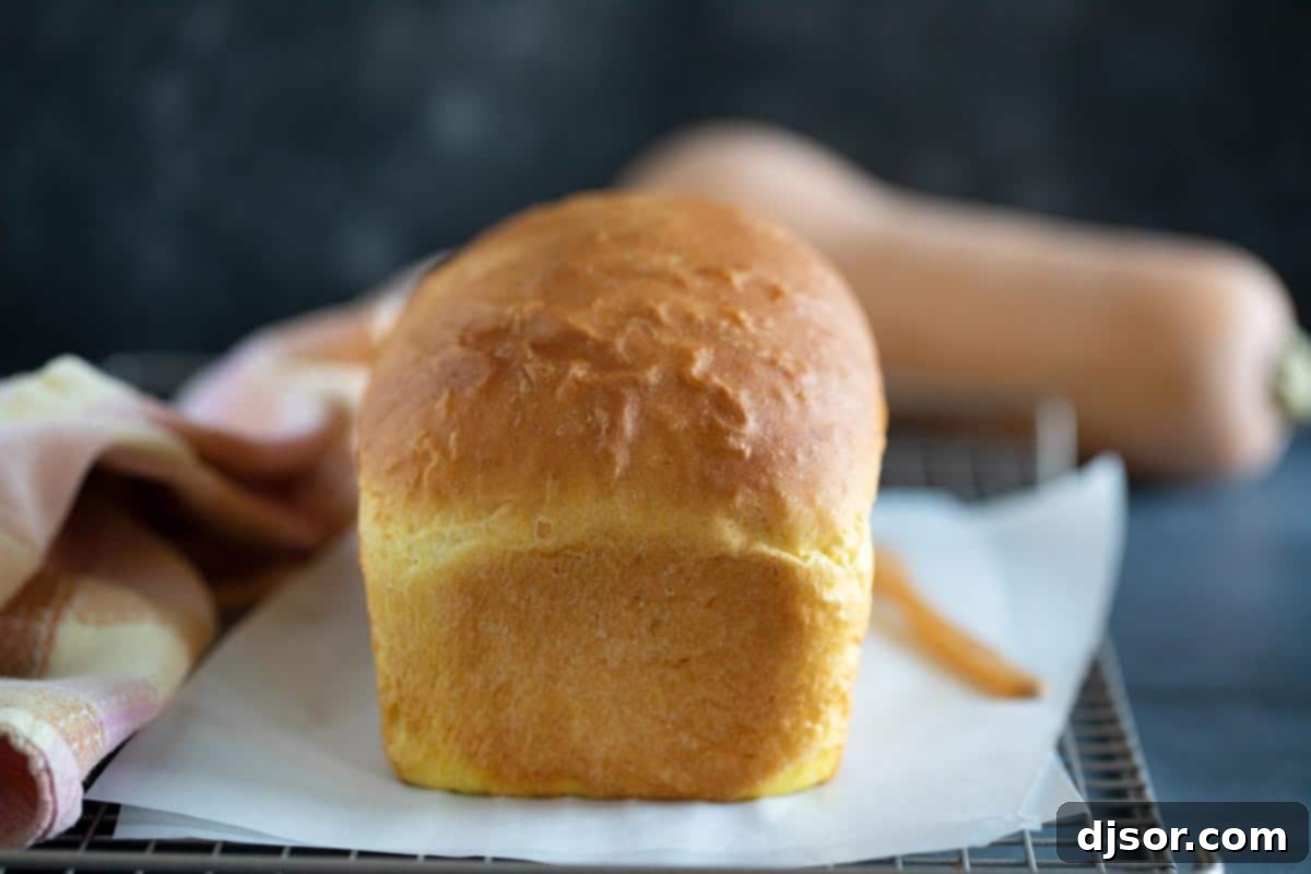A freshly baked loaf of butternut squash bread resting on a cooling rack.