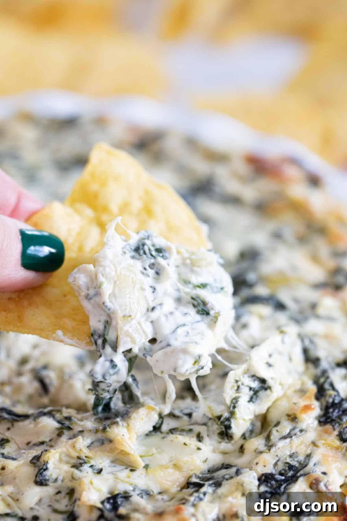 A hand scooping a generous portion of creamy spinach artichoke dip onto a golden tortilla chip, showcasing its rich texture.