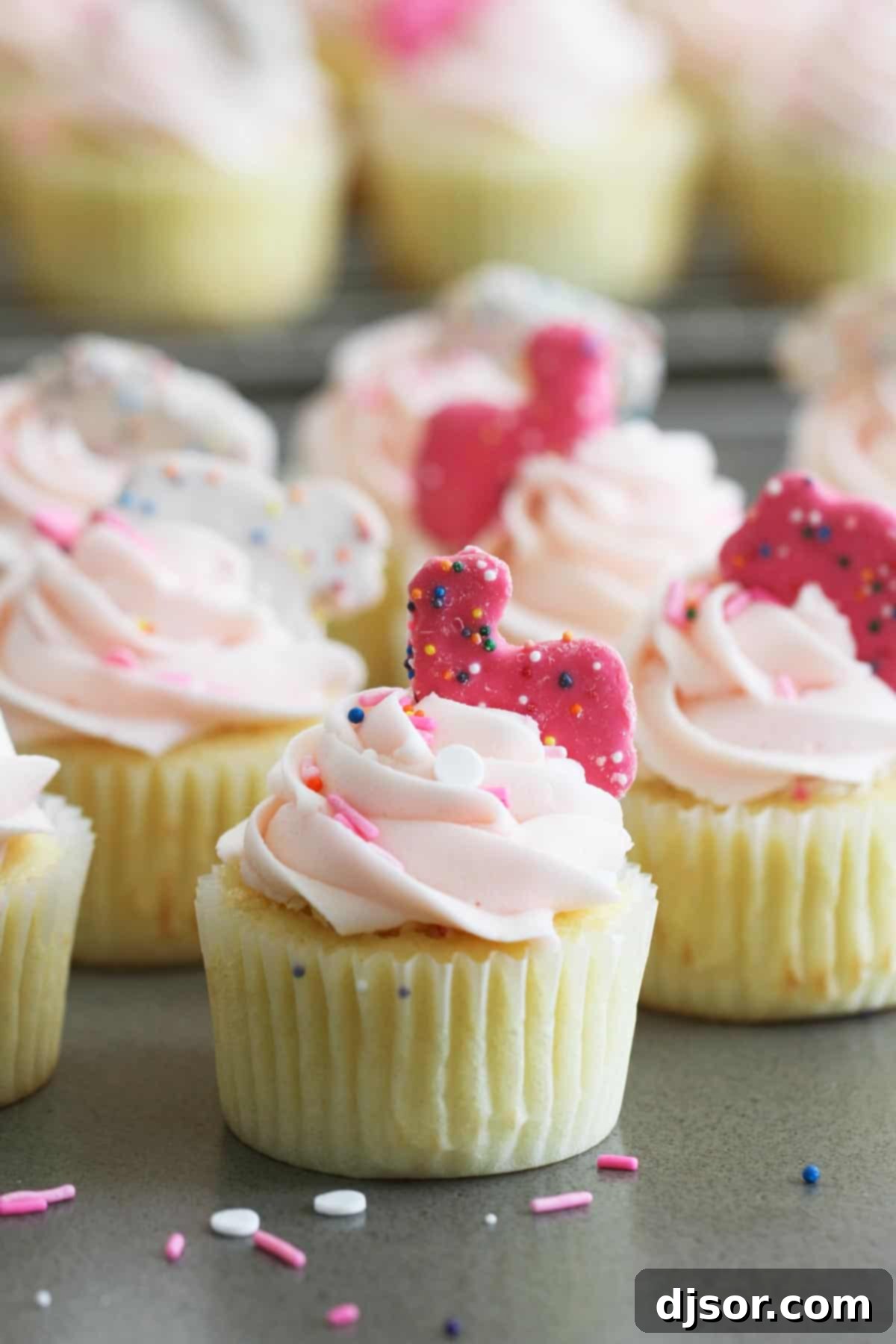 Whimsical Circus Animal Cookie Cupcakes with a cheesecake center and vanilla buttercream. Circus Animal Cookie Cupcakes topped with vibrant frosted cookies.